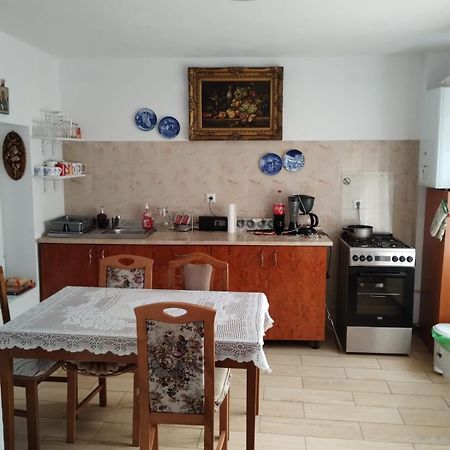 Willa Bucegi View Buşteni Zewnętrze zdjęcie